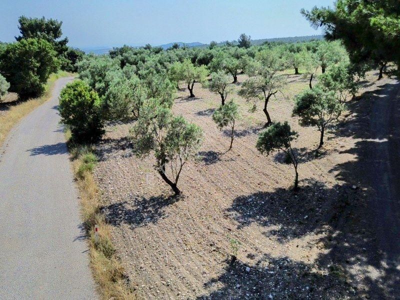 Bülent Ateşci'den Aliağa Bozköyde 1055 M2 Tarla - Görsel 5