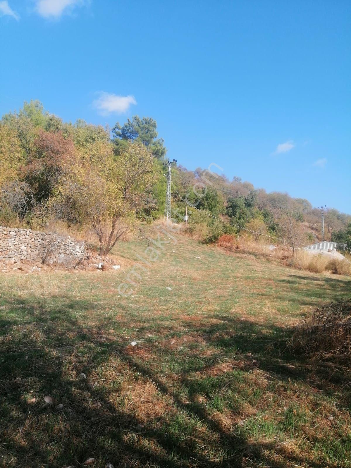 Aydıncık Emlaktan Satılık Tarla Anamurda - Görsel 3