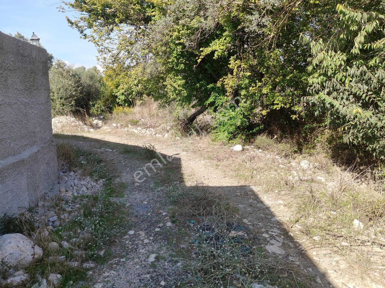 Uğur'dan Seydikemer Girmeler De Köyiçi İmarlı Kupon Arazi - Görsel 11