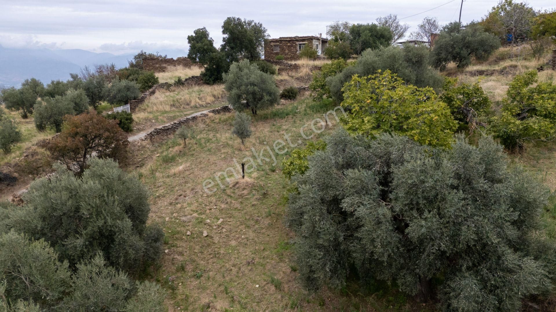 529 Yenipazar Karaçakal Mahallesinde Yola Cepheli Satılık Bahçeli Ev - Görsel 11