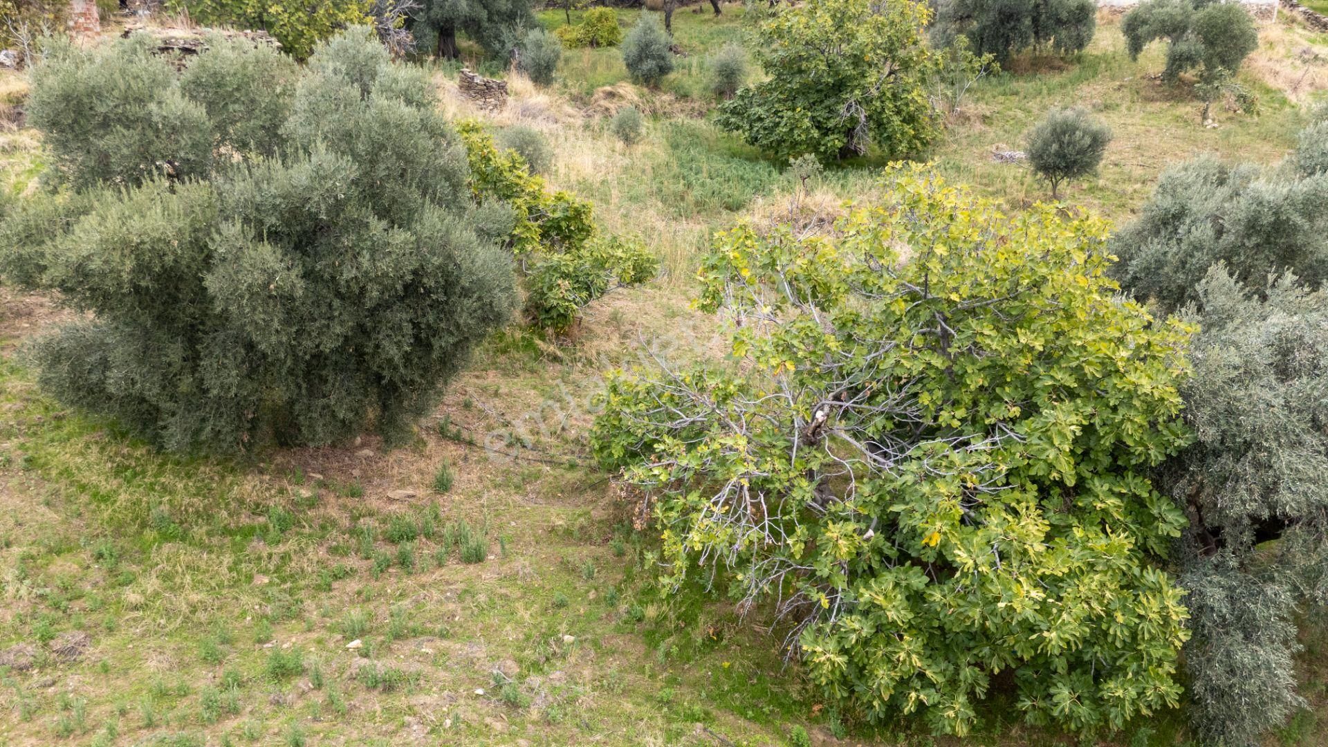 529 Yenipazar Karaçakal Mahallesinde Yola Cepheli Satılık Bahçeli Ev - Görsel 13