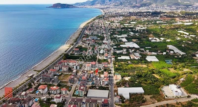 Kestelde Yeni Binada Havuzlu Ve Eşyalı 1+1 Daire Denize 180 M