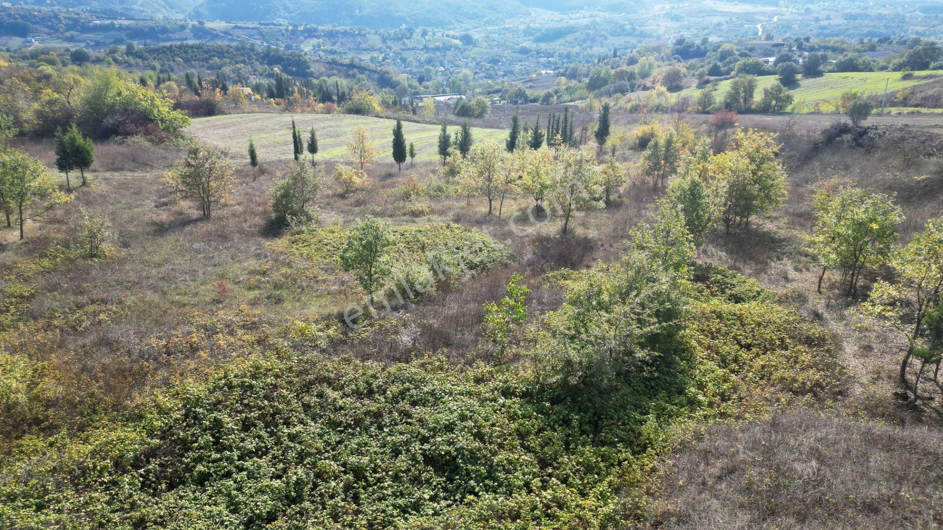 Kocaeli Karamürsel Yalakdere 3.656 M² Yatırımlık Tarla - Görsel 8