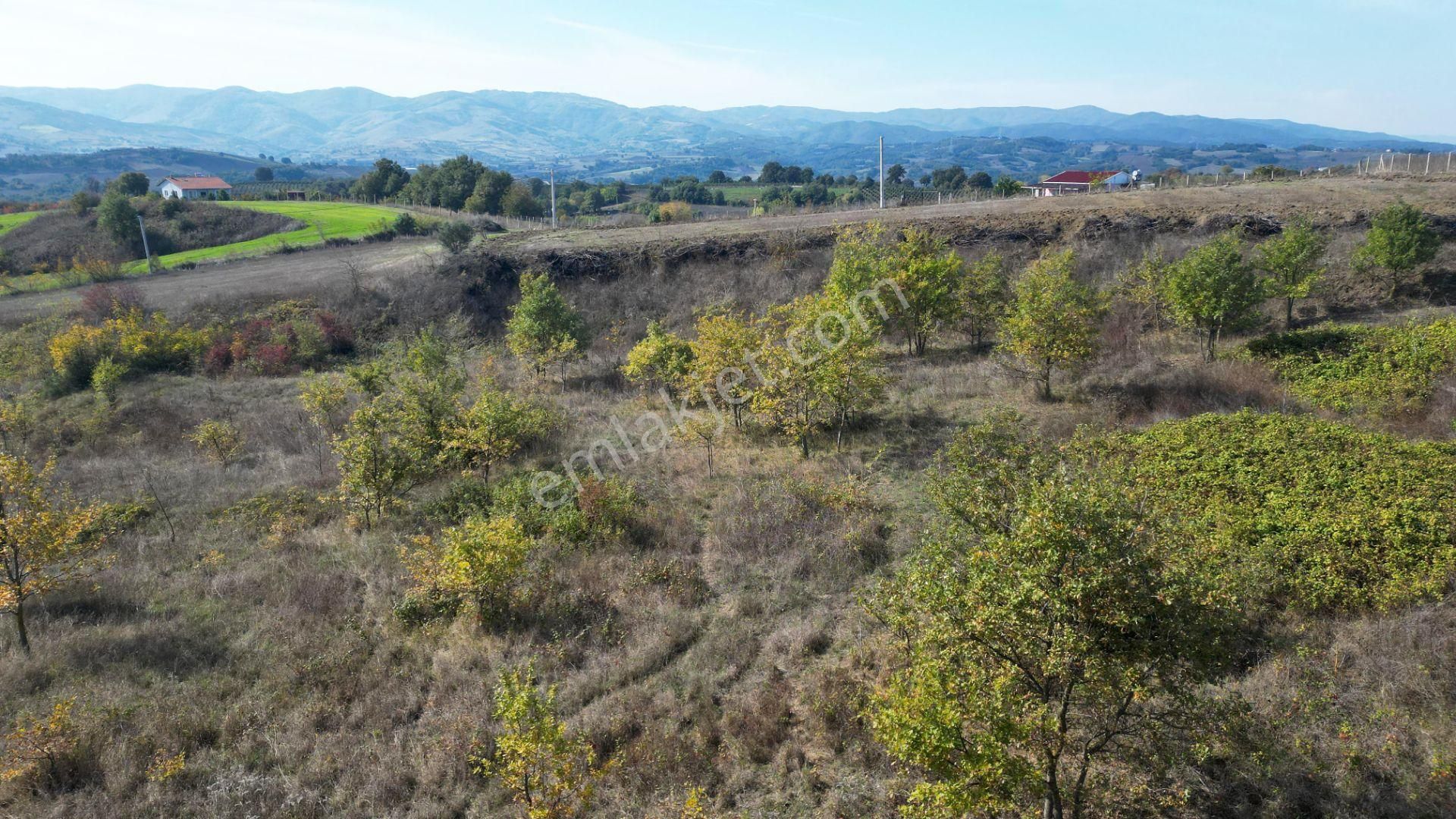 Kocaeli Karamürsel Yalakdere 3.656 M² Yatırımlık Tarla - Görsel 6