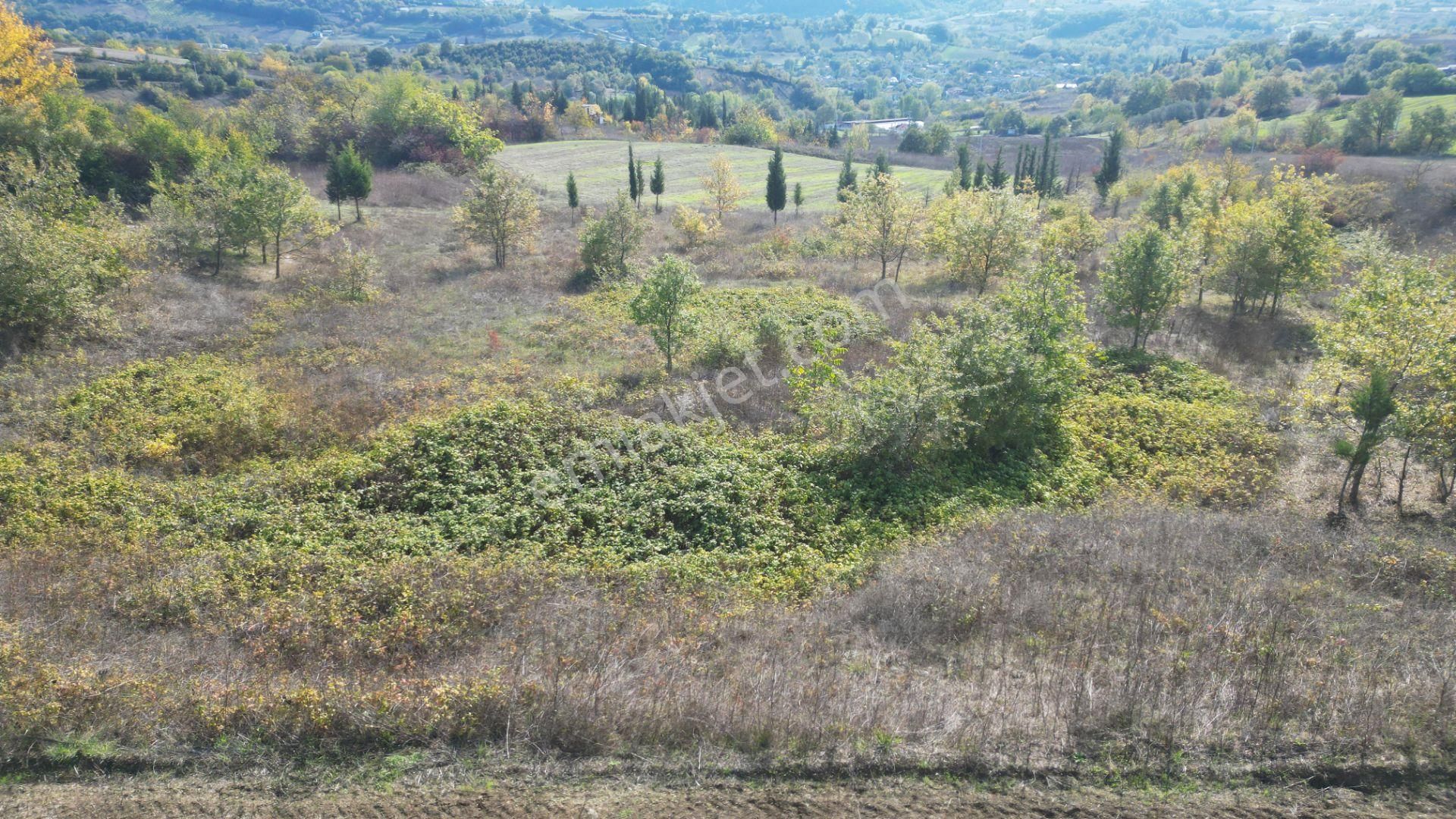 Kocaeli Karamürsel Yalakdere 3.656 M² Yatırımlık Tarla - Görsel 7