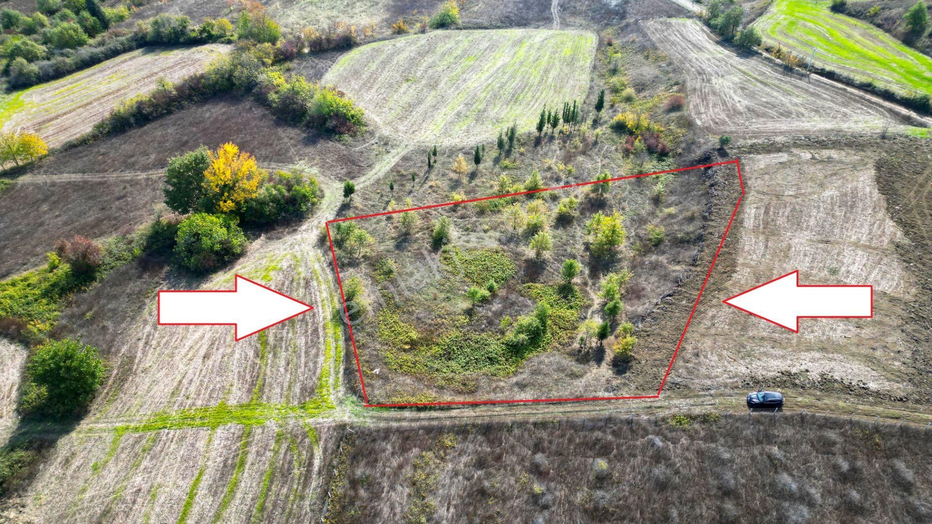 Kocaeli Karamürsel Yalakdere 3.656 M² Yatırımlık Tarla