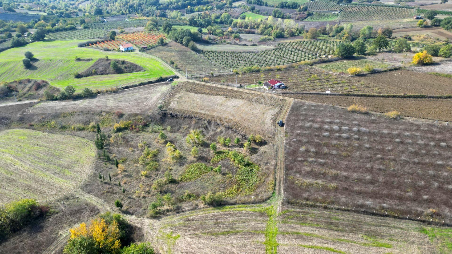 Kocaeli Karamürsel Yalakdere 3.656 M² Yatırımlık Tarla - Görsel 2