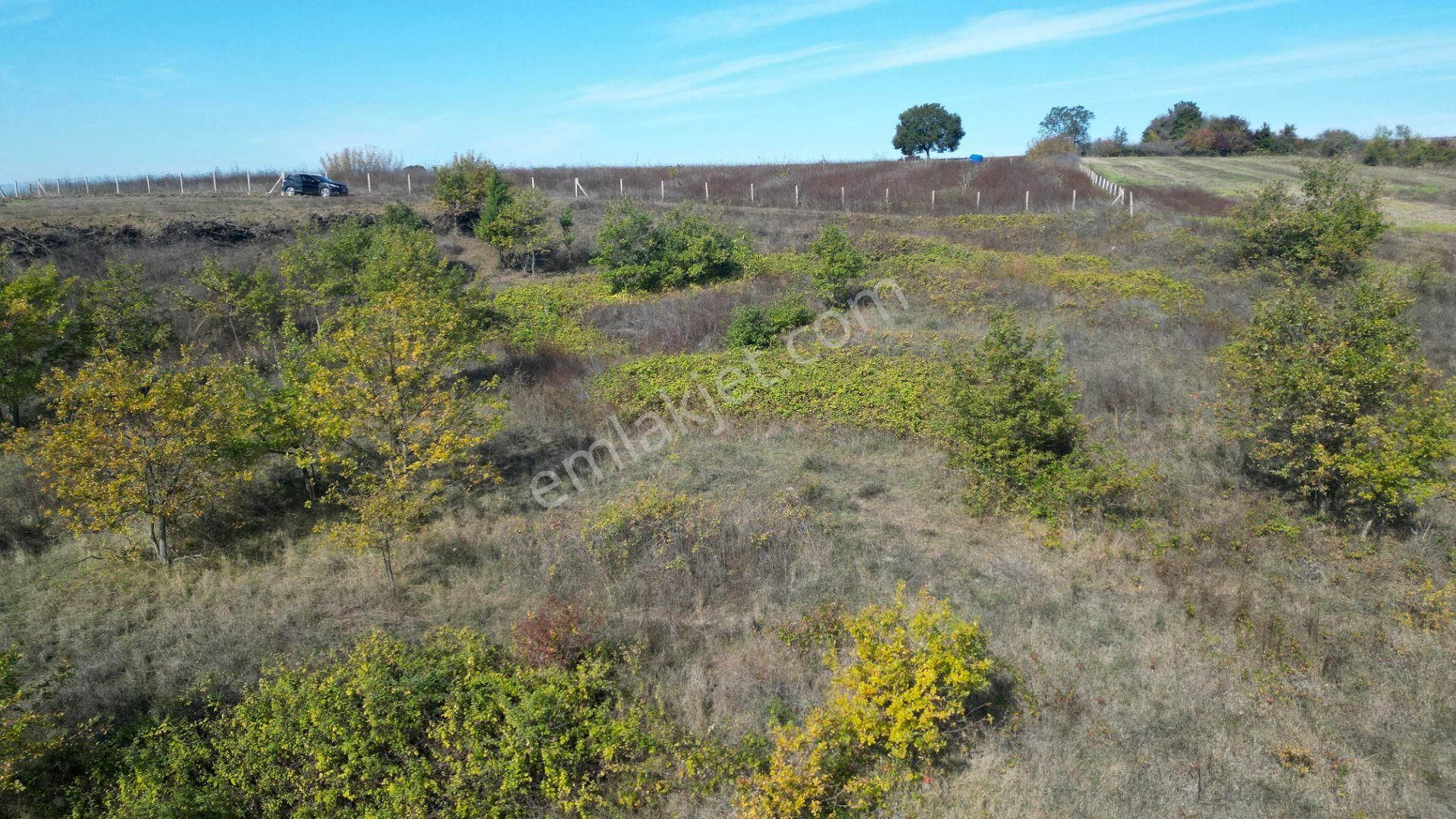 Kocaeli Karamürsel Yalakdere 3.656 M² Yatırımlık Tarla - Görsel 5