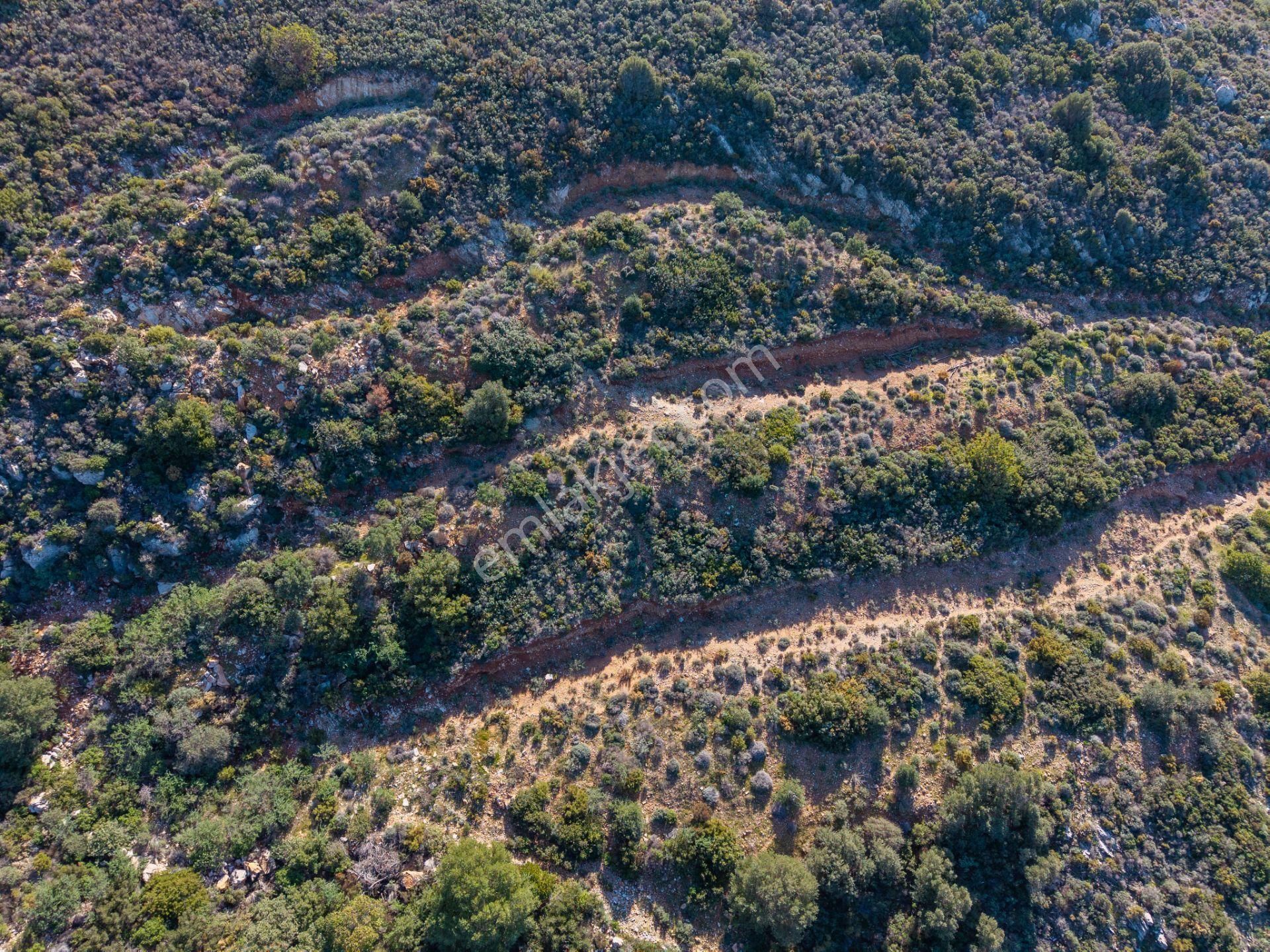 Datça Cumalı Bükceğiz Koyunda Satılık 2041 M² Denize Sıfır Tarla - Görsel 10
