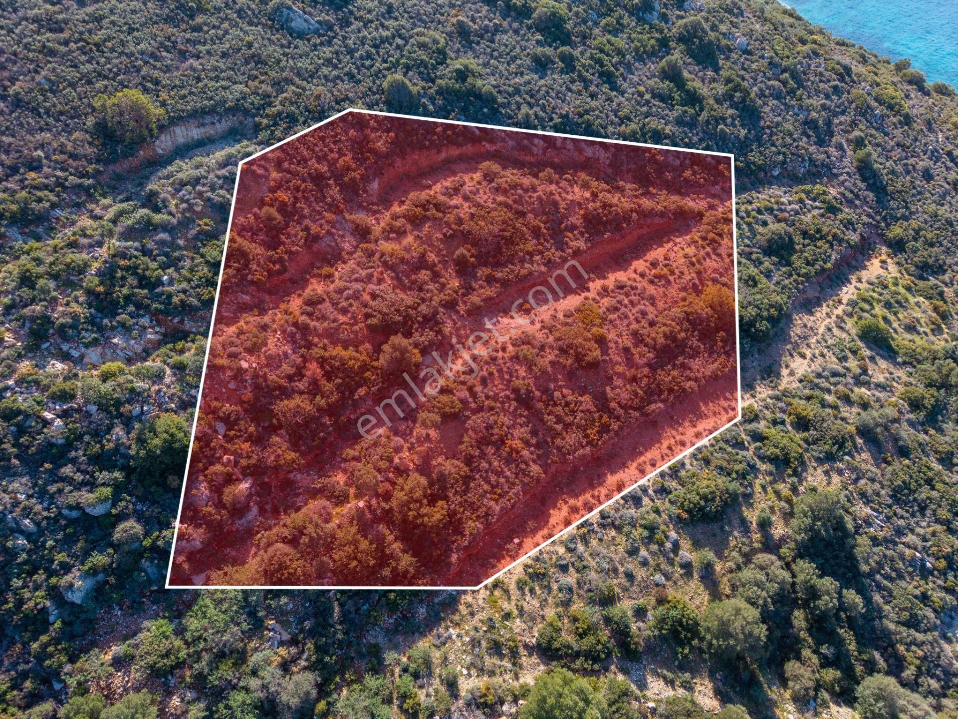 Datça Cumalı Bükceğiz Koyunda Satılık 2041 M² Denize Sıfır Tarla - Görsel 5