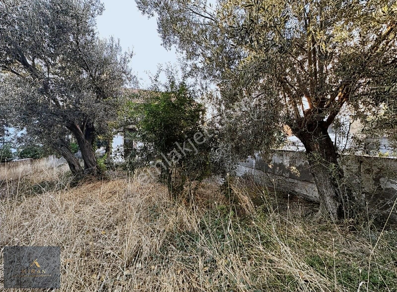 İzmir Aliağa Yenişakran Mah. Bozburun Mevkii'de Satılık Arsa - Görsel 5