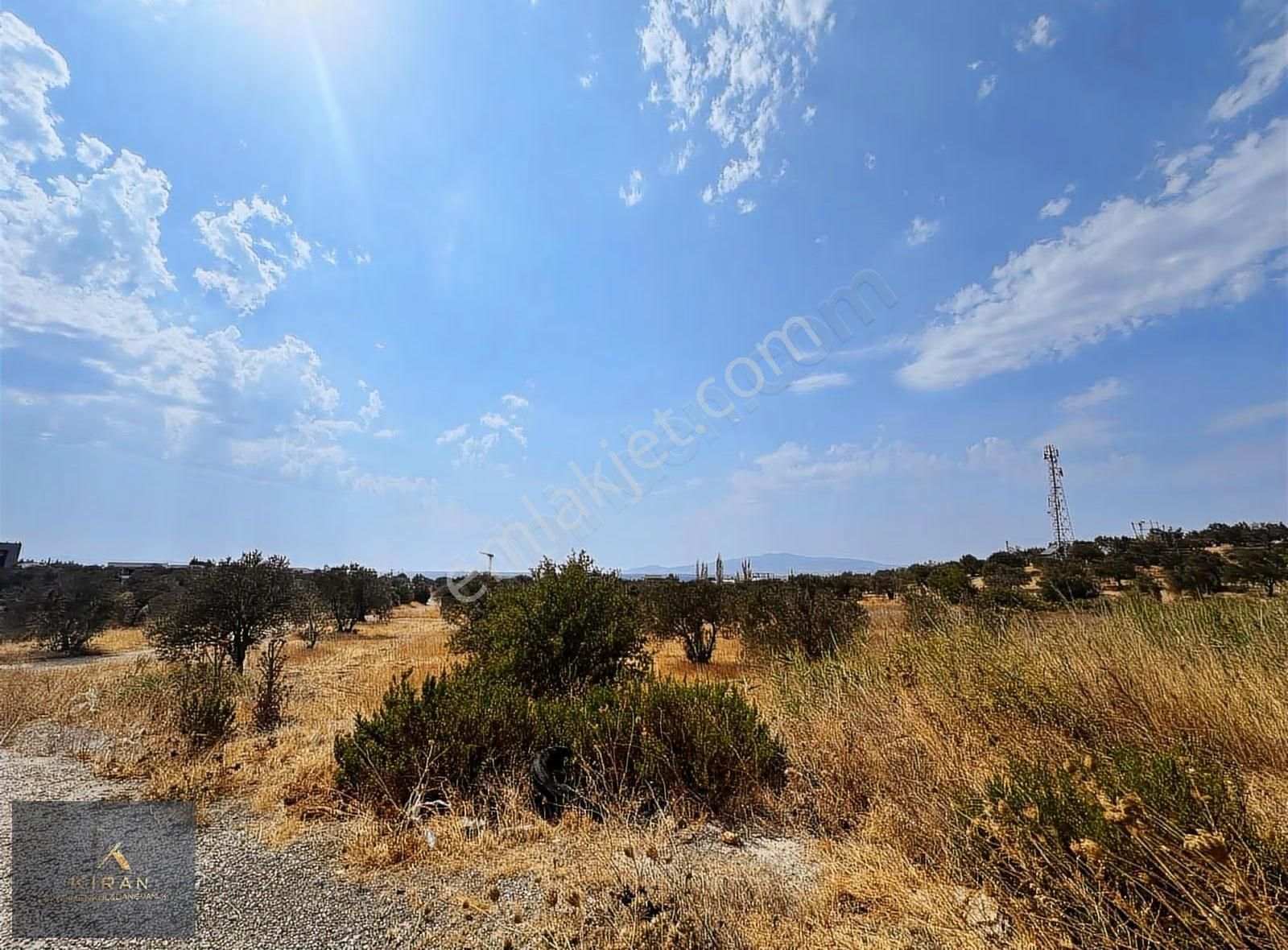 İzmir Aliağa Yenişakran Yol Kenarında Satılık 4.986m2 Tarla - Görsel 7