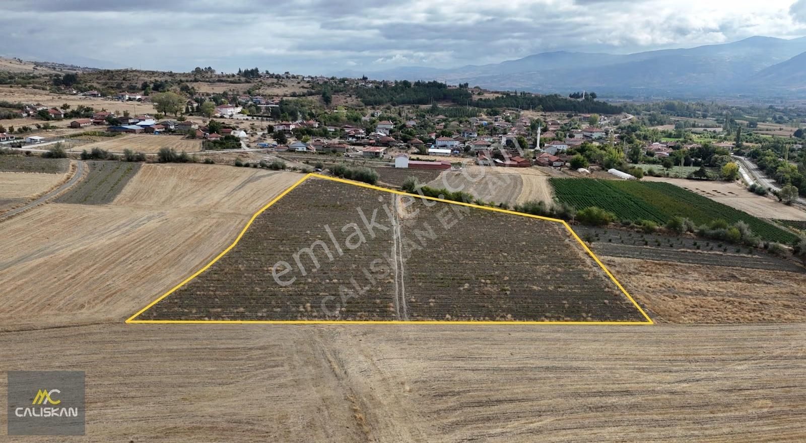 Çalışkan Emlak'tan Necip Köyünde Satılık 20 Dönüm Üzüm Bağı