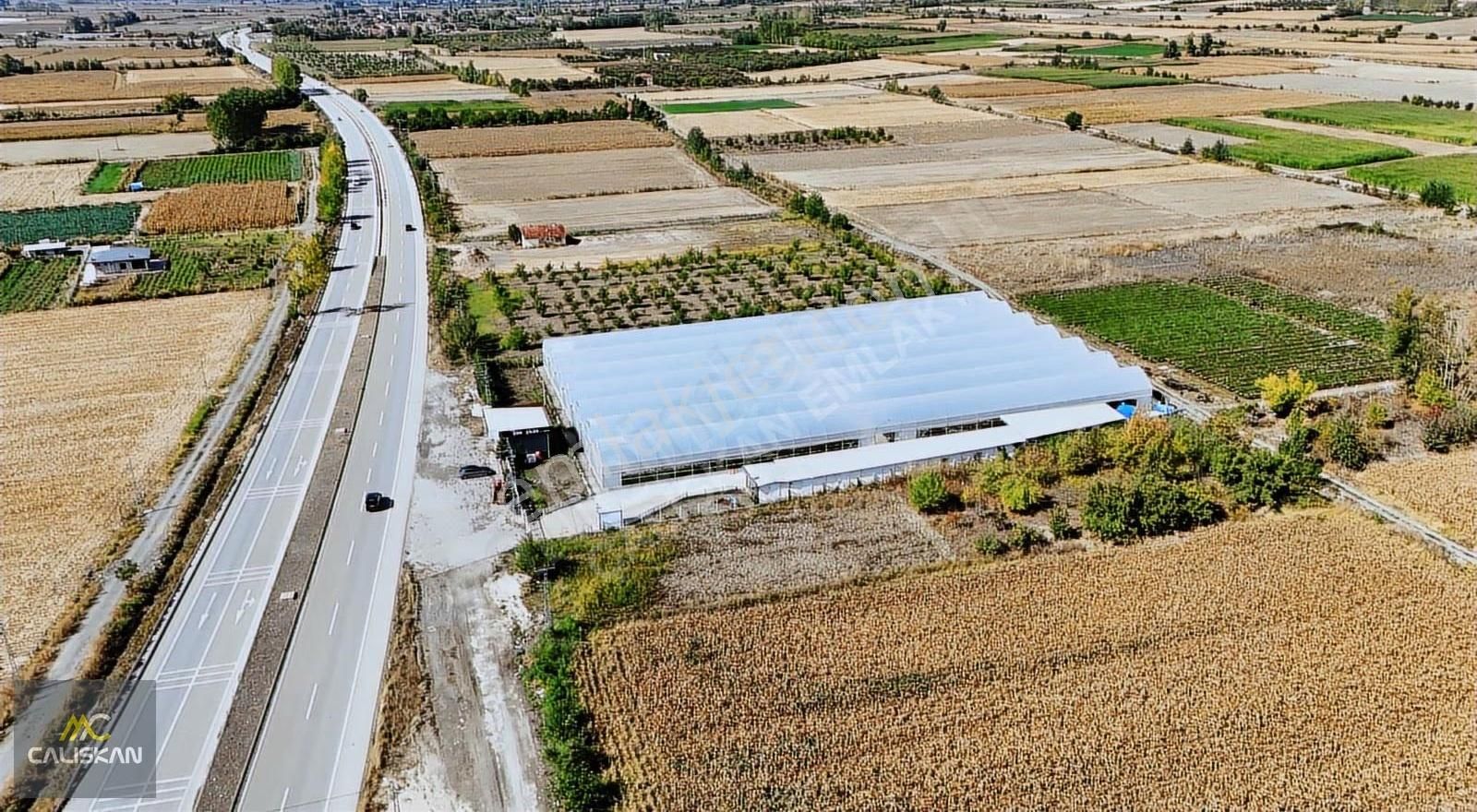 Tokat-turhal Yoluna Sıfır Konumda 7 Dönüm Tek Tapu Çilek Serası - Görsel 10