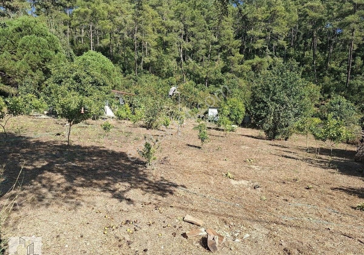 Marmaris Çamlı,da 2.500m2 Müstakil Bahçeli Konut - Görsel 8