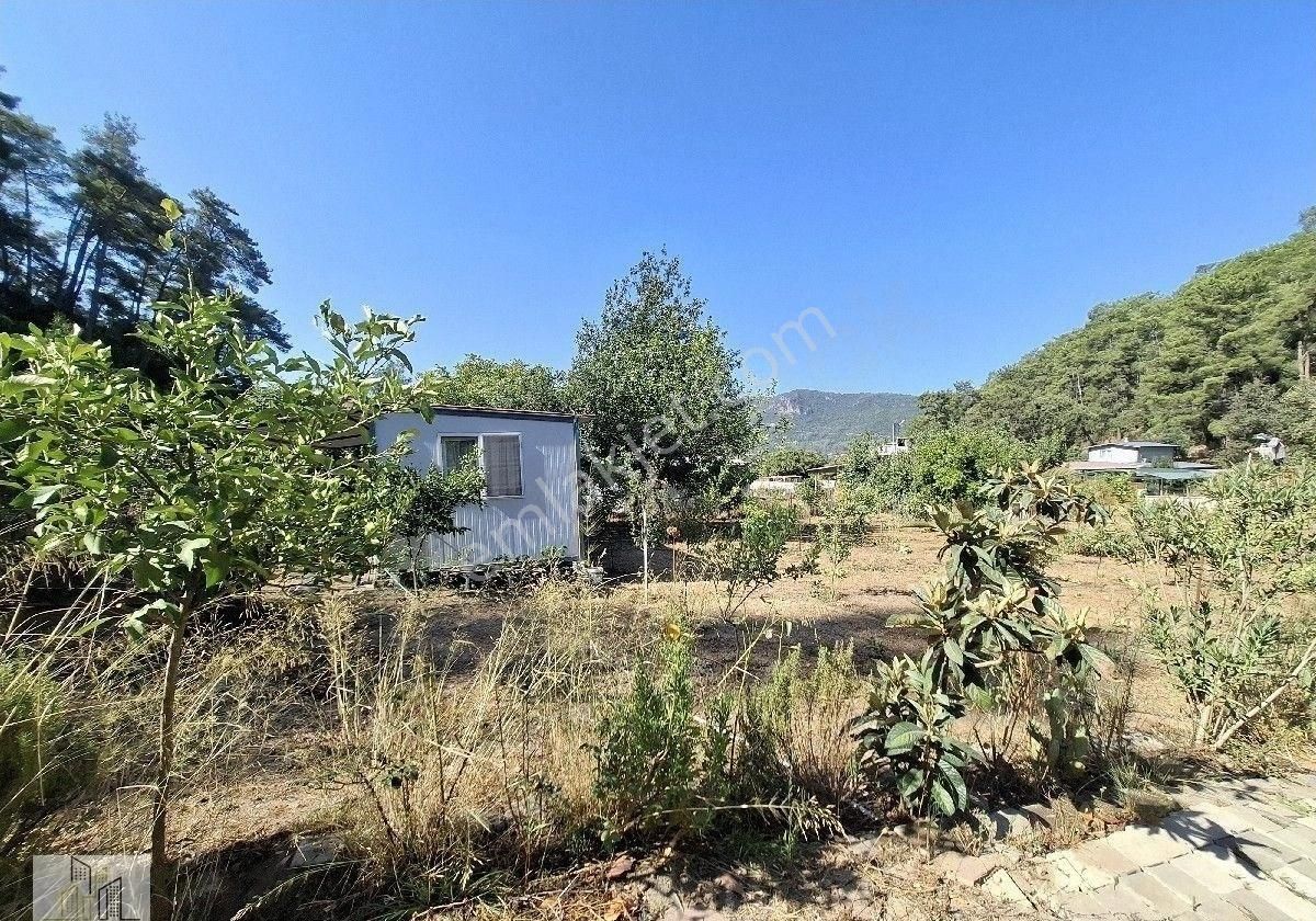 Marmaris Çamlı,da 2.500m2 Müstakil Bahçeli Konut - Görsel 4