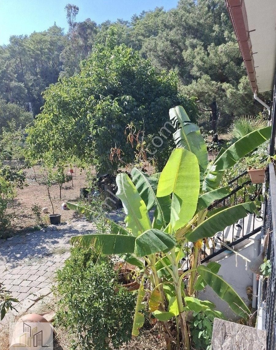 Marmaris Çamlı,da 2.500m2 Müstakil Bahçeli Konut - Görsel 17