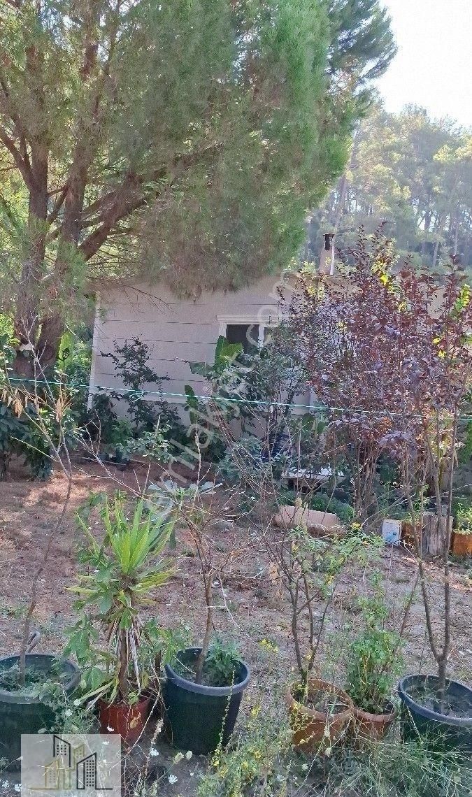 Marmaris Çamlı,da 2.500m2 Müstakil Bahçeli Konut - Görsel 19