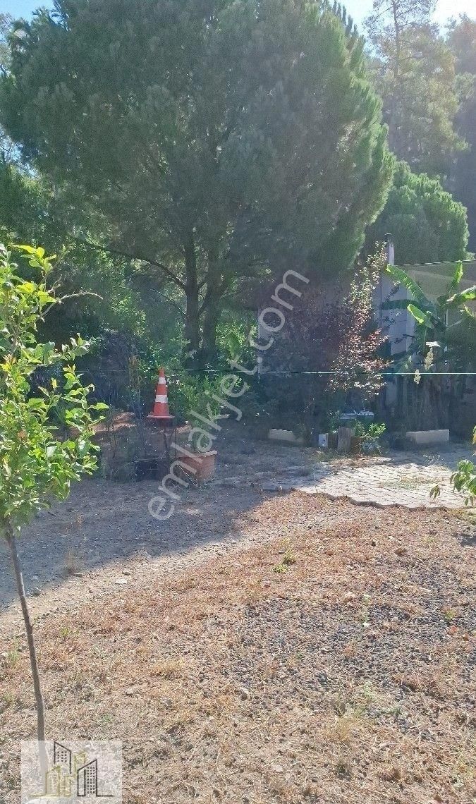 Marmaris Çamlı,da 2.500m2 Müstakil Bahçeli Konut - Görsel 5