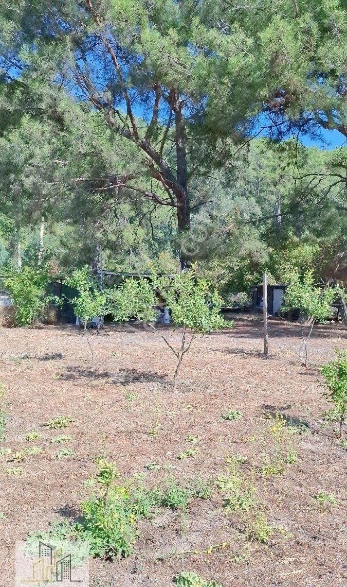 Marmaris Çamlı,da 2.500m2 Müstakil Bahçeli Konut - Görsel 11