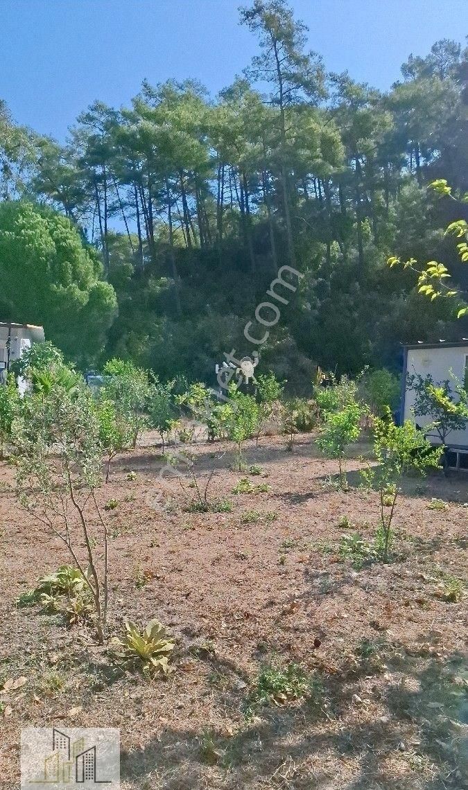 Marmaris Çamlı,da 2.500m2 Müstakil Bahçeli Konut - Görsel 28