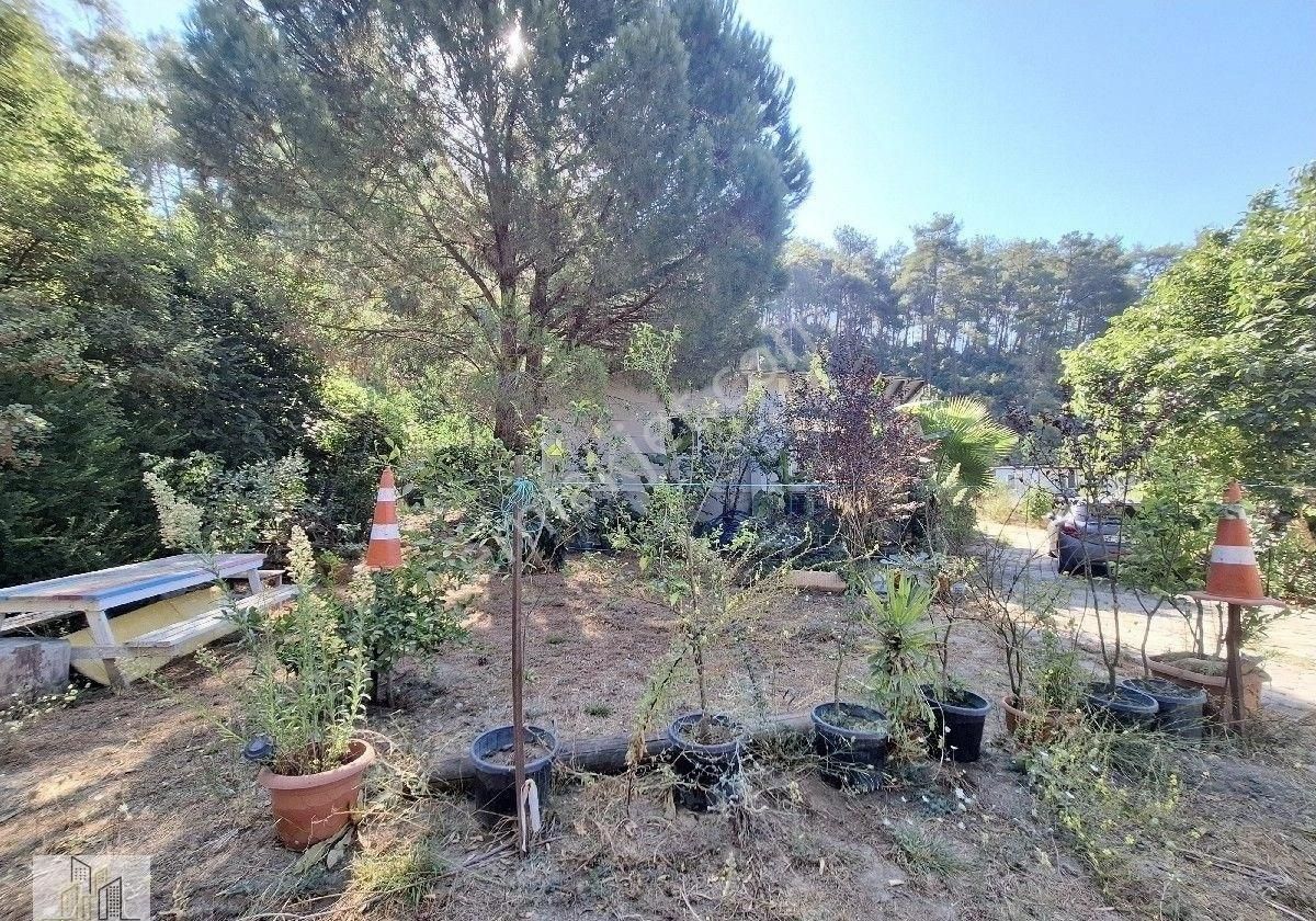 Marmaris Çamlı,da 2.500m2 Müstakil Bahçeli Konut - Görsel 2