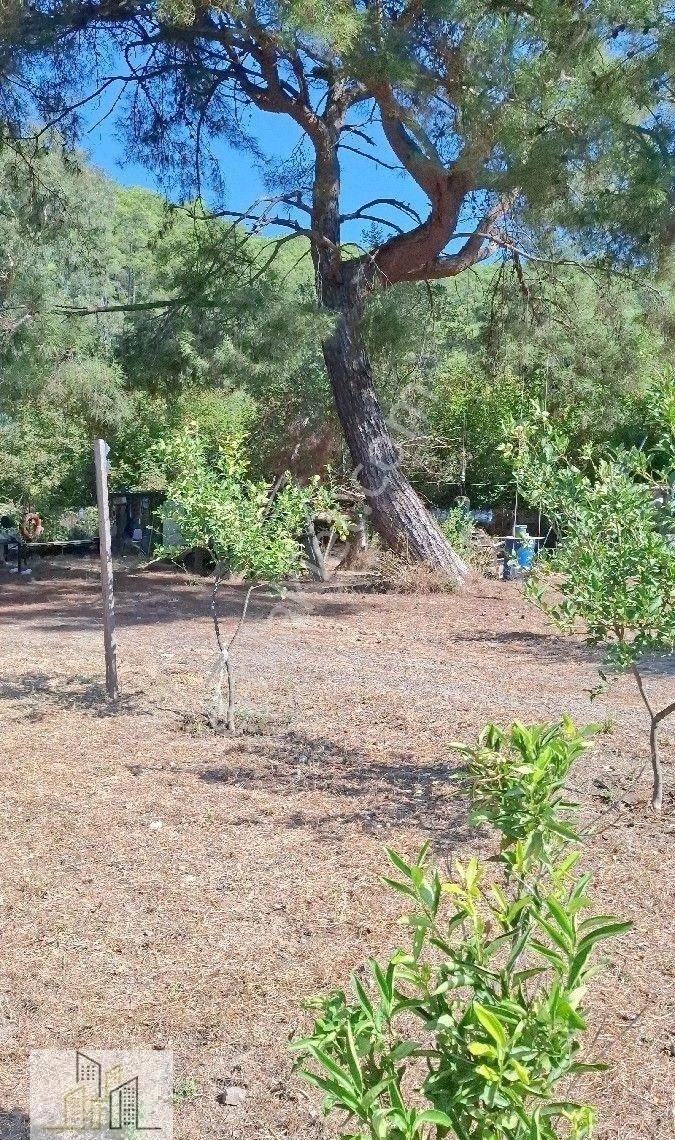 Marmaris Çamlı,da 2.500m2 Müstakil Bahçeli Konut - Görsel 23