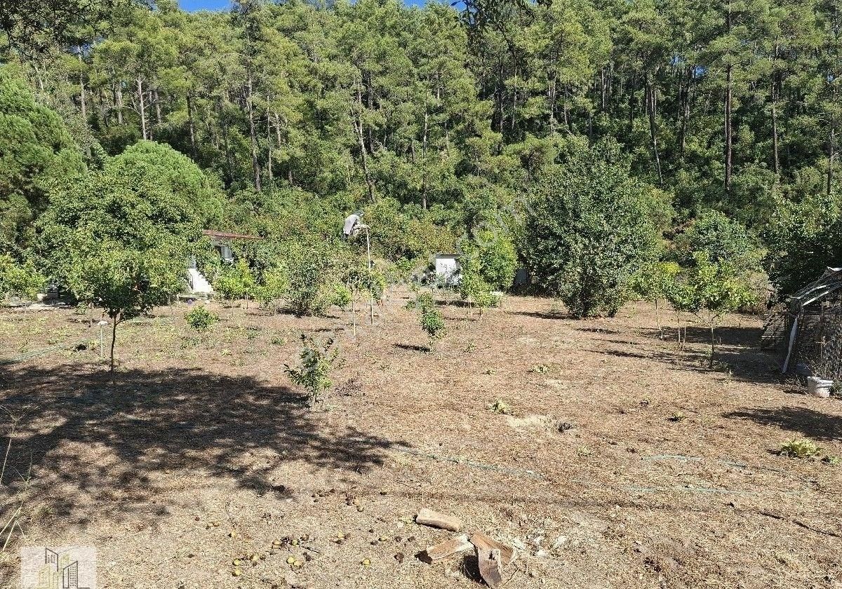 Marmaris Çamlı,da 2.500m2 Müstakil Bahçeli Konut - Görsel 35