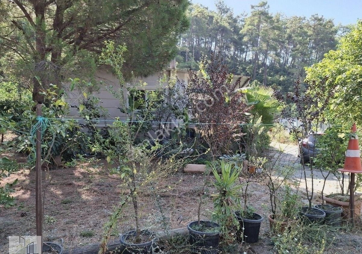Marmaris Çamlı,da 2.500m2 Müstakil Bahçeli Konut - Görsel 9