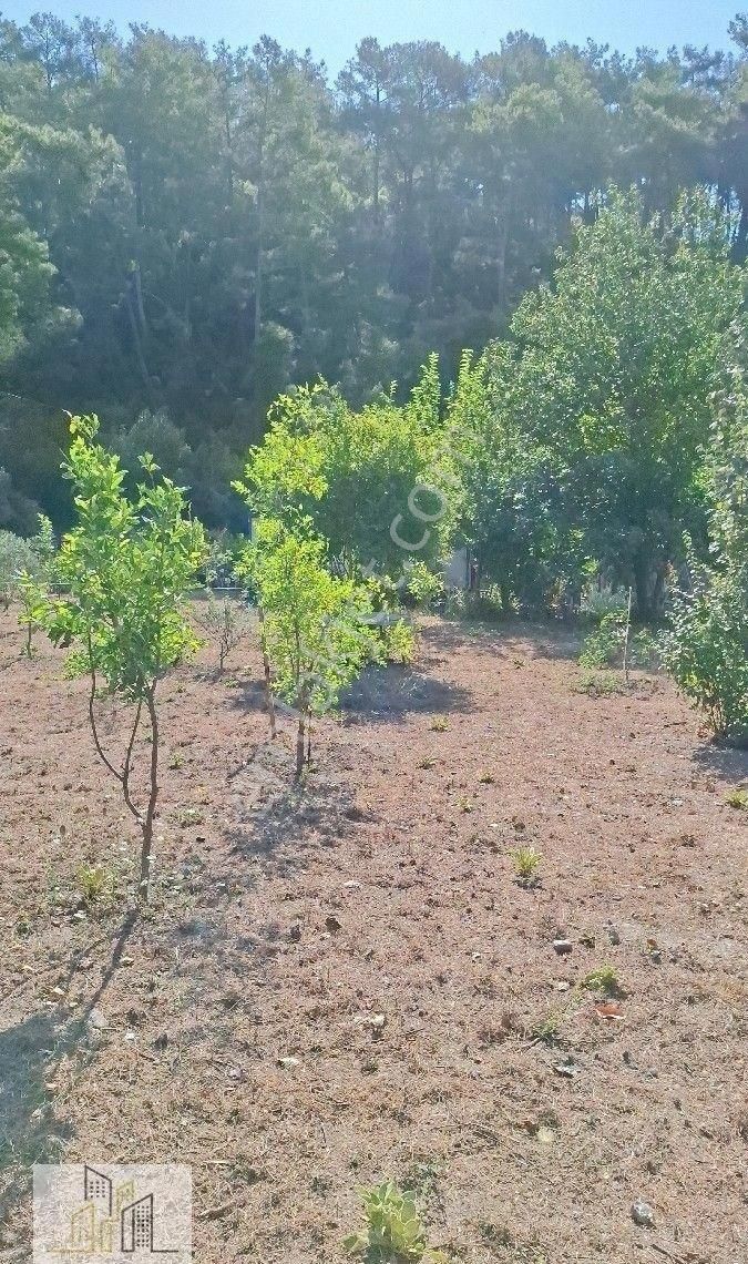 Marmaris Çamlı,da 2.500m2 Müstakil Bahçeli Konut - Görsel 32