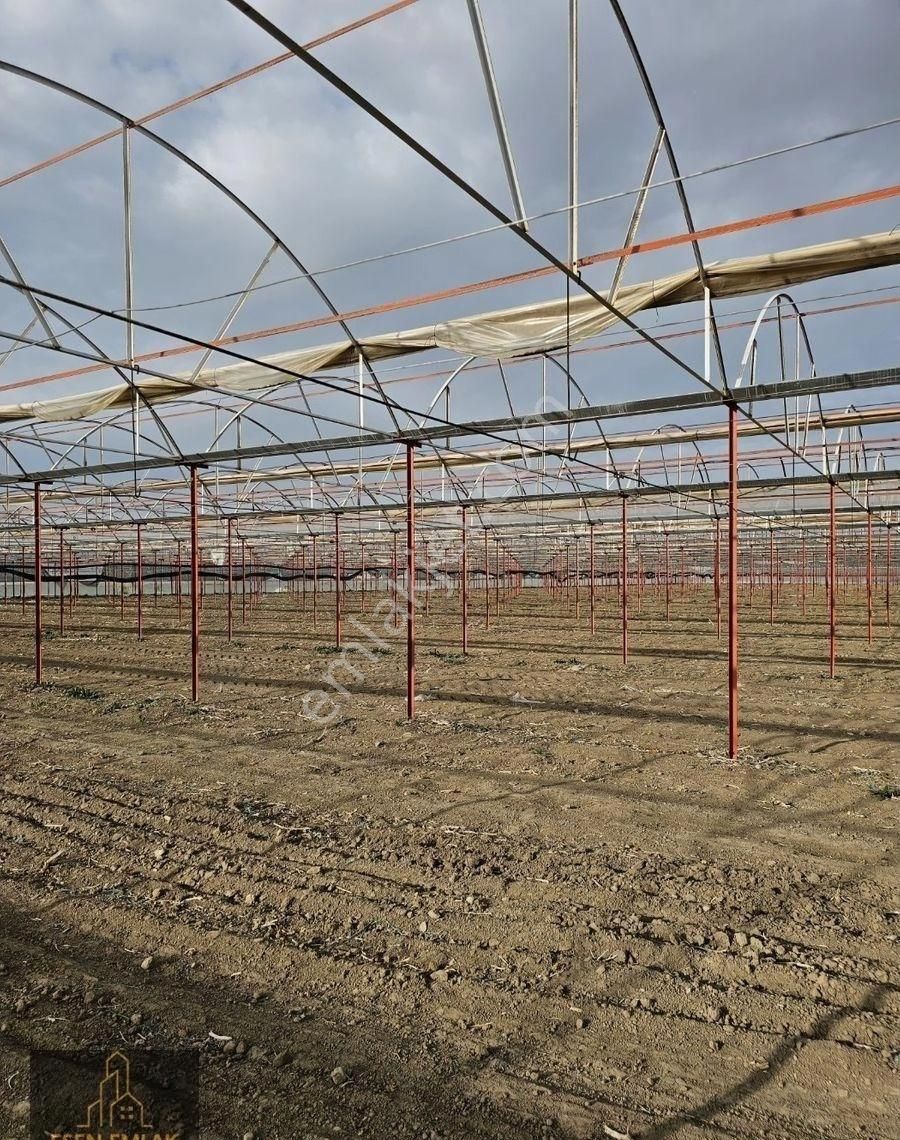 Antalya Elmalı Zümrütova Mah'de Elektriği, Sondajı Ve Yolu Bulunan 17.910m2 Kiralık Kapalı Sera - Görsel 12