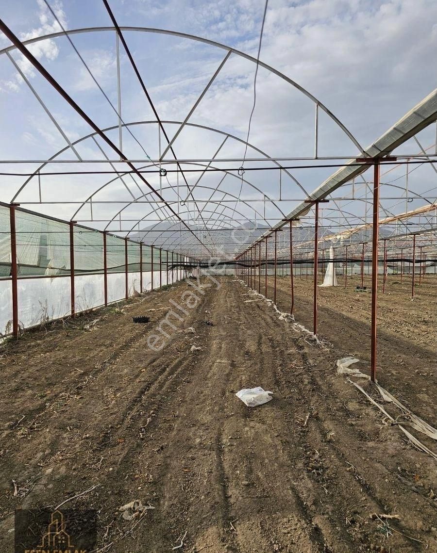 Antalya Elmalı Zümrütova Mah'de Elektriği, Sondajı Ve Yolu Bulunan 17.910m2 Kiralık Kapalı Sera - Görsel 17