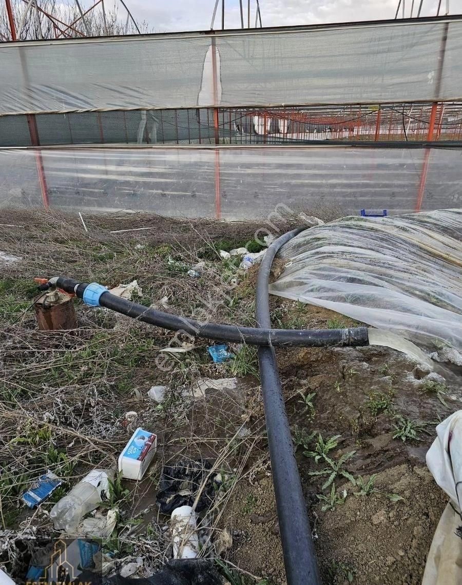 Antalya Elmalı Zümrütova Mah'de Elektriği, Sondajı Ve Yolu Bulunan 17.910m2 Kiralık Kapalı Sera - Görsel 10