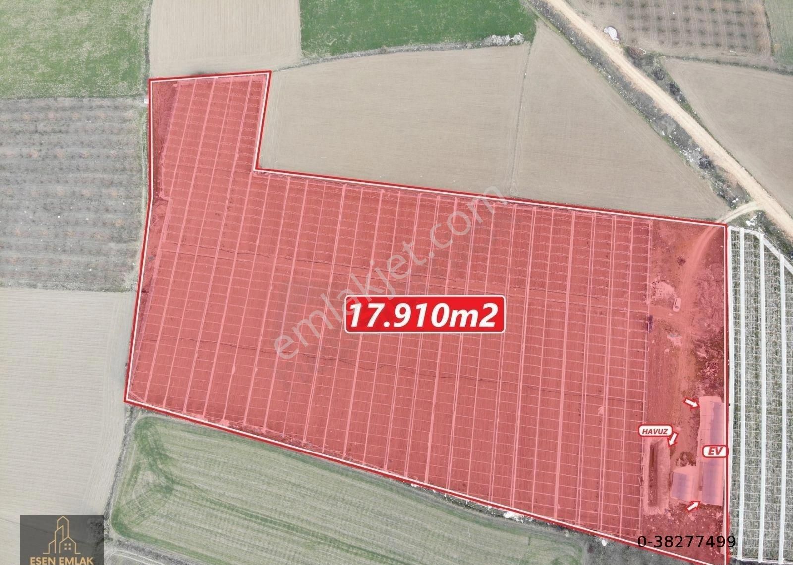 Antalya Elmalı Zümrütova Mah'de Elektriği, Sondajı Ve Yolu Bulunan 17.910m2 Kiralık Kapalı Sera - Görsel 8