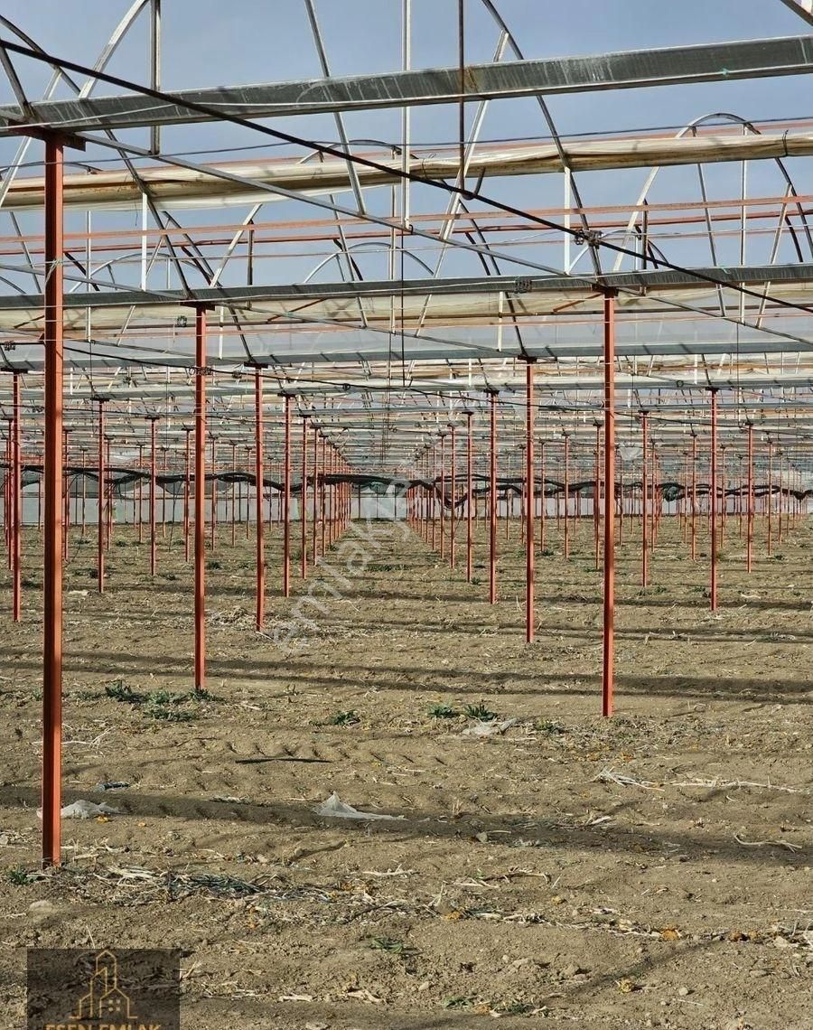 Antalya Elmalı Zümrütova Mah'de Elektriği, Sondajı Ve Yolu Bulunan 17.910m2 Kiralık Kapalı Sera - Görsel 3