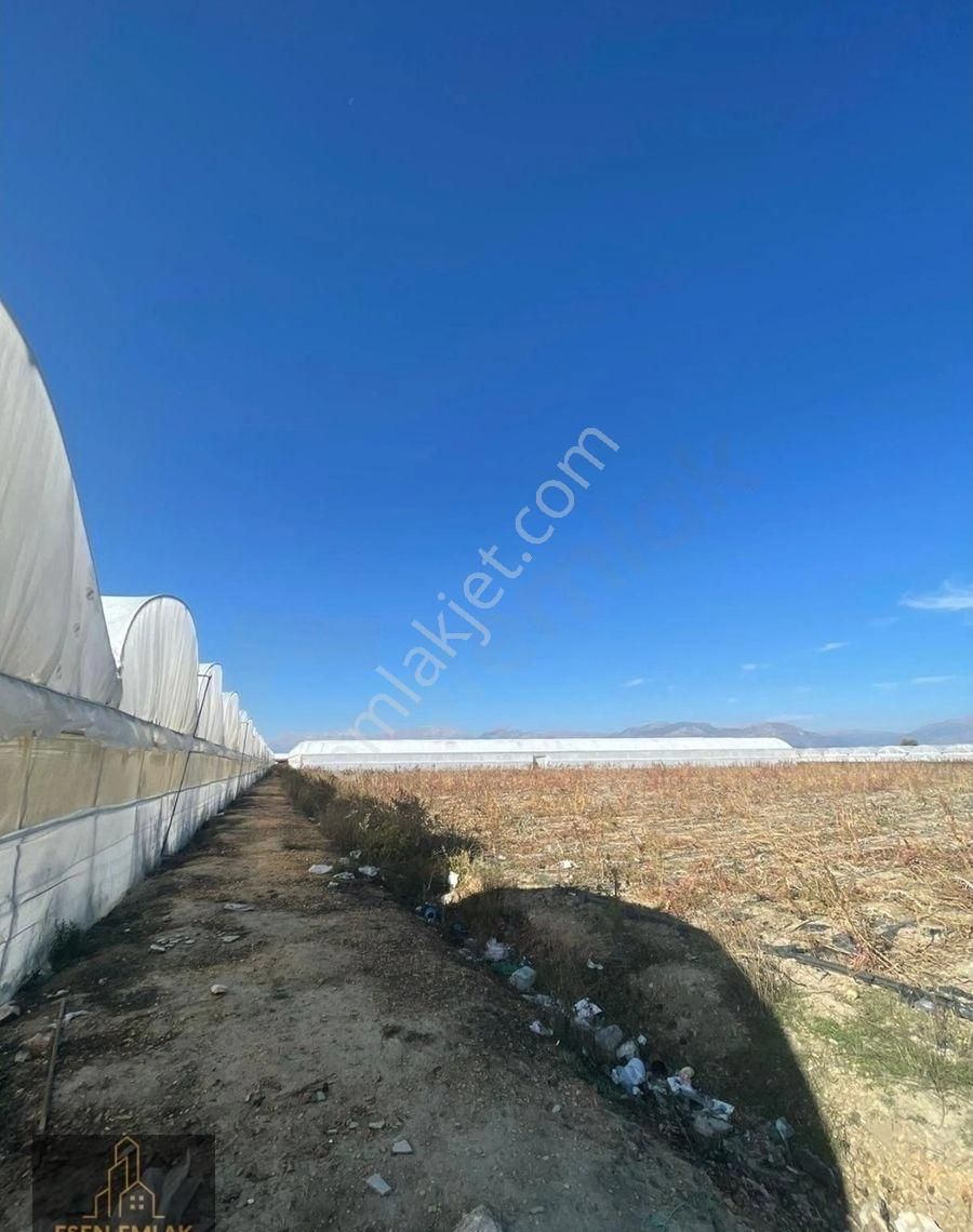 Antalya Elmalı Bayralar Mah'de Elektriği, Sondajı Ve Yolu Bulunan 73.600m2 Satılık Kapalı Sera - Görsel 14
