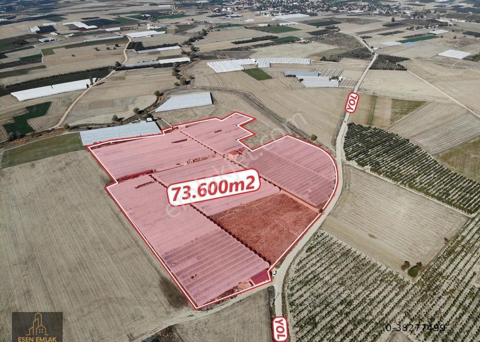 Antalya Elmalı Bayralar Mah'de Elektriği, Sondajı Ve Yolu Bulunan 73.600m2 Satılık Kapalı Sera - Görsel 6