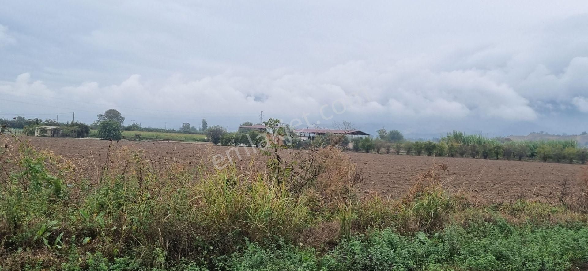 Aydın Nazilli Yöntem Emlaktan Sultanhisar Atça Mahallesinde Satılık Hobi Bahçesi - Görsel 23