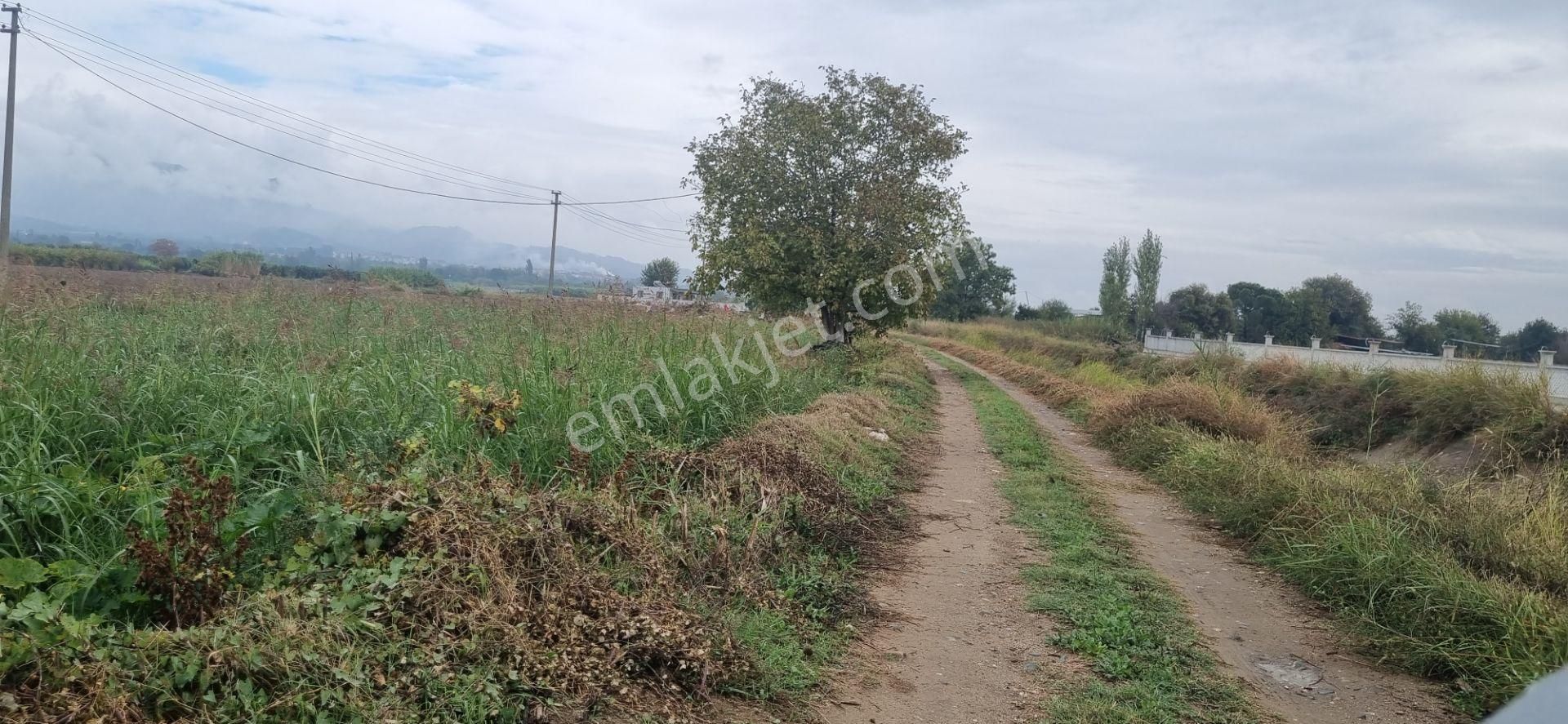 Aydın Nazilli Yöntem Emlaktan Sultanhisar Atça Mahallesinde Satılık Hobi Bahçesi - Görsel 5