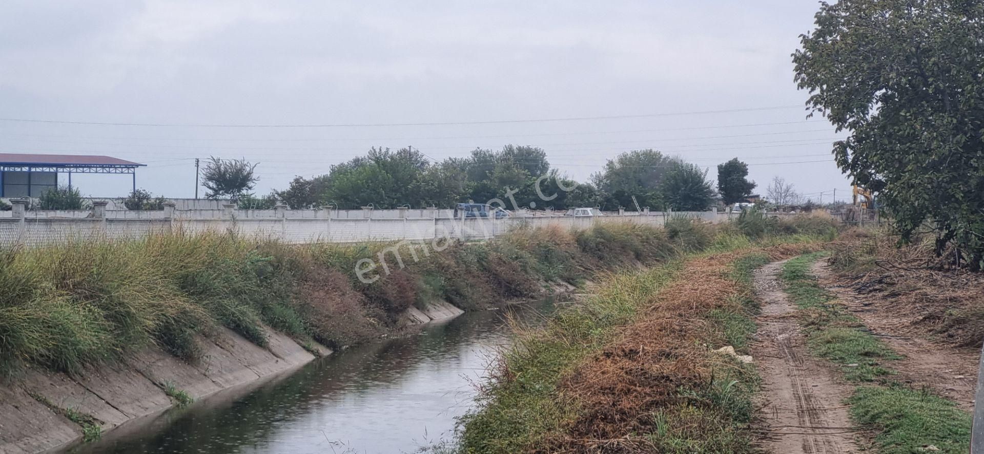 Aydın Nazilli Yöntem Emlaktan Sultanhisar Atça Mahallesinde Satılık Hobi Bahçesi - Görsel 7