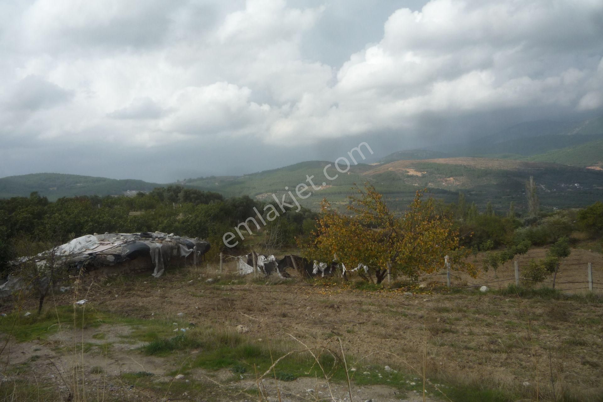 İzmir Torbalı Gold Emlaktan Bozköyde Satılık Kıymetli Bahçe - Görsel 12