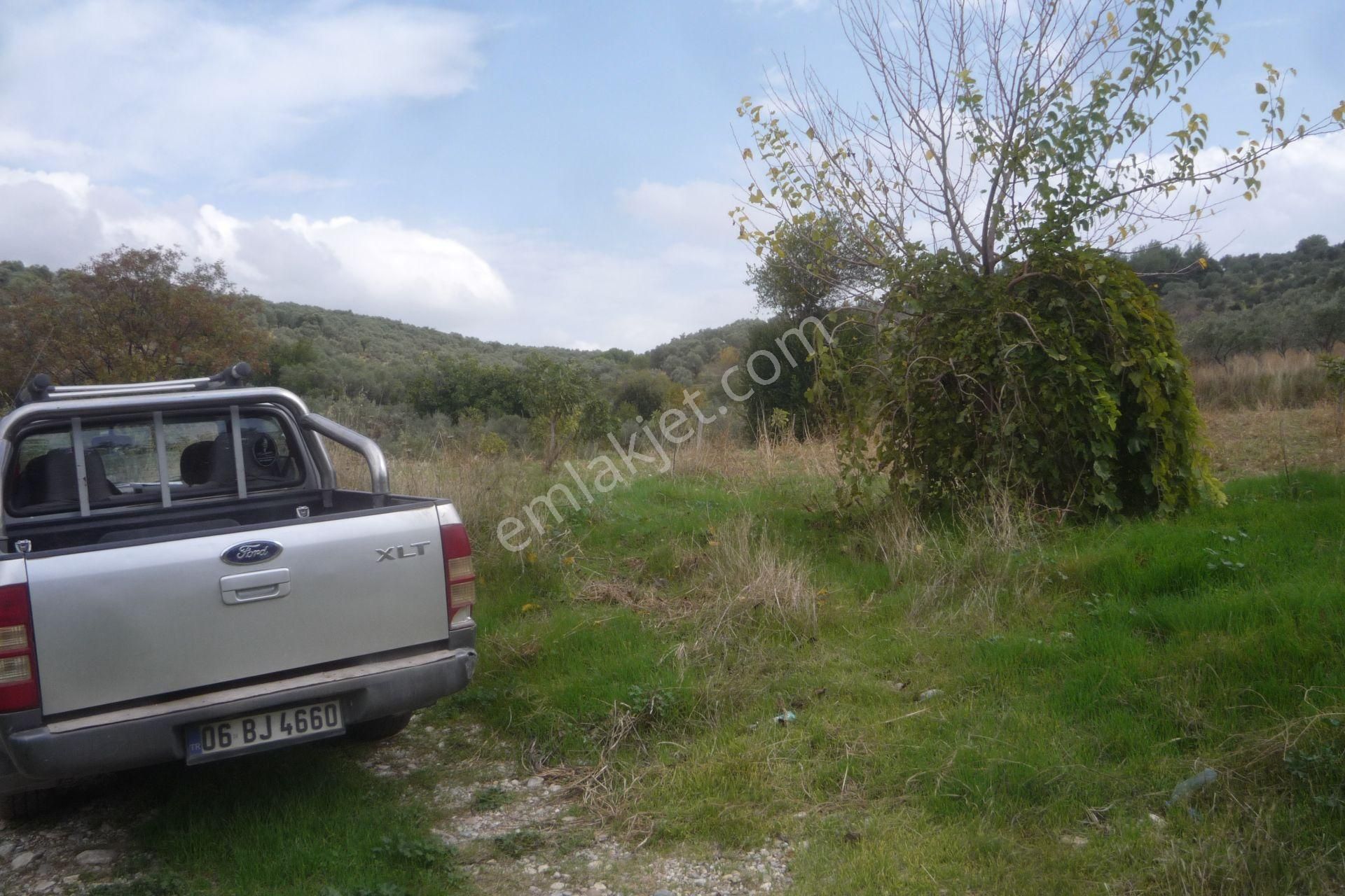 İzmir Torbalı Gold Emlaktan Bozköyde Satılık Kıymetli Bahçe - Görsel 18