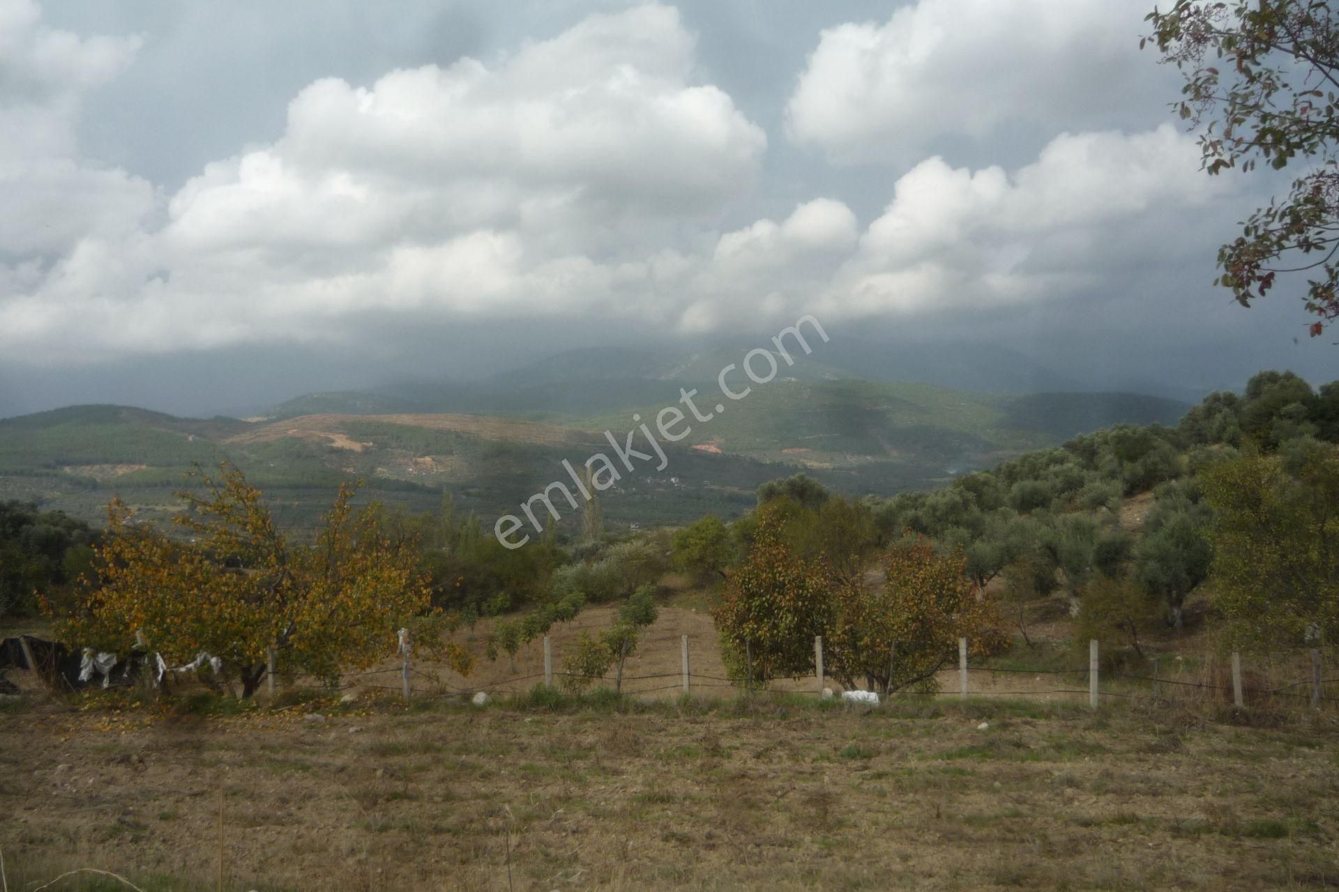 İzmir Torbalı Gold Emlaktan Bozköyde Satılık Kıymetli Bahçe - Görsel 11
