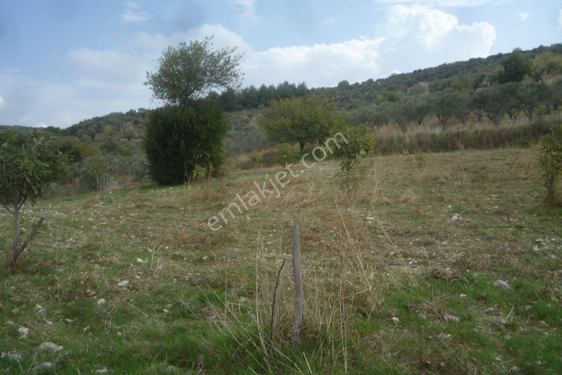 İzmir Torbalı Gold Emlaktan Bozköyde Satılık Kıymetli Bahçe - Görsel 16