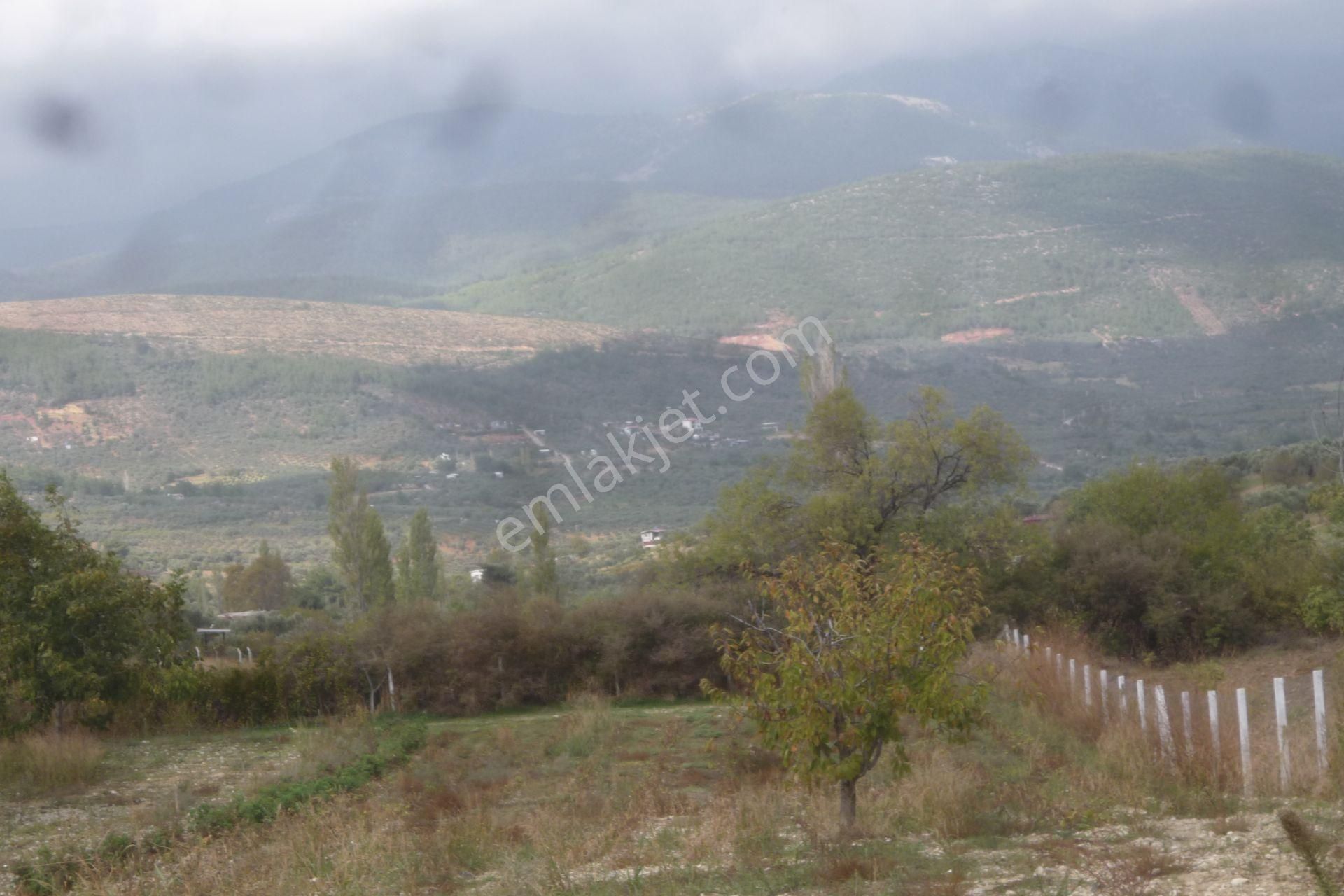 İzmir Torbalı Gold Emlaktan Bozköyde Satılık Kıymetli Bahçe - Görsel 19