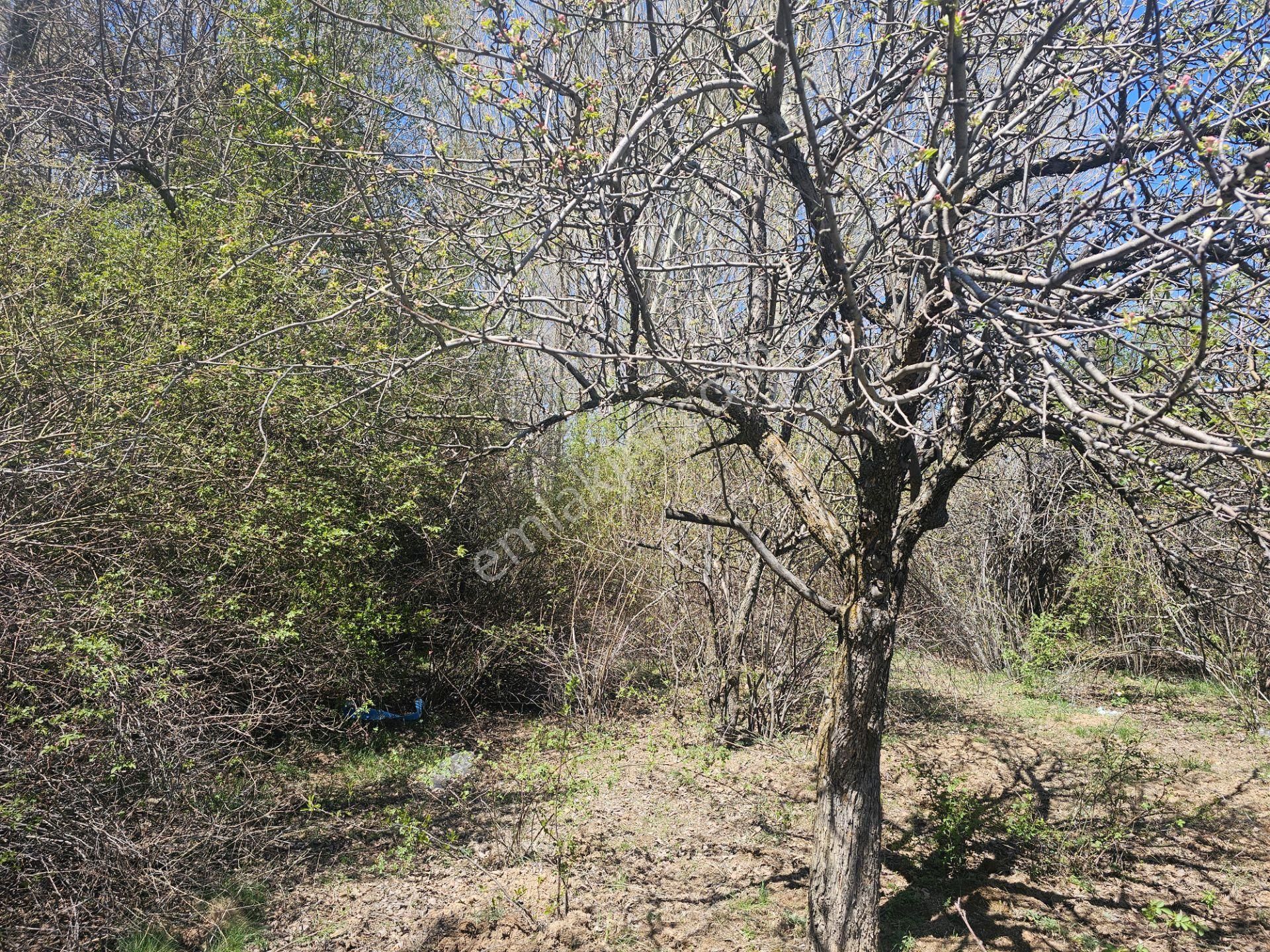 İşyapar Gayrimenkulden Konya Merkeze 20 Dakika Mesafede Bahçe - Görsel 17