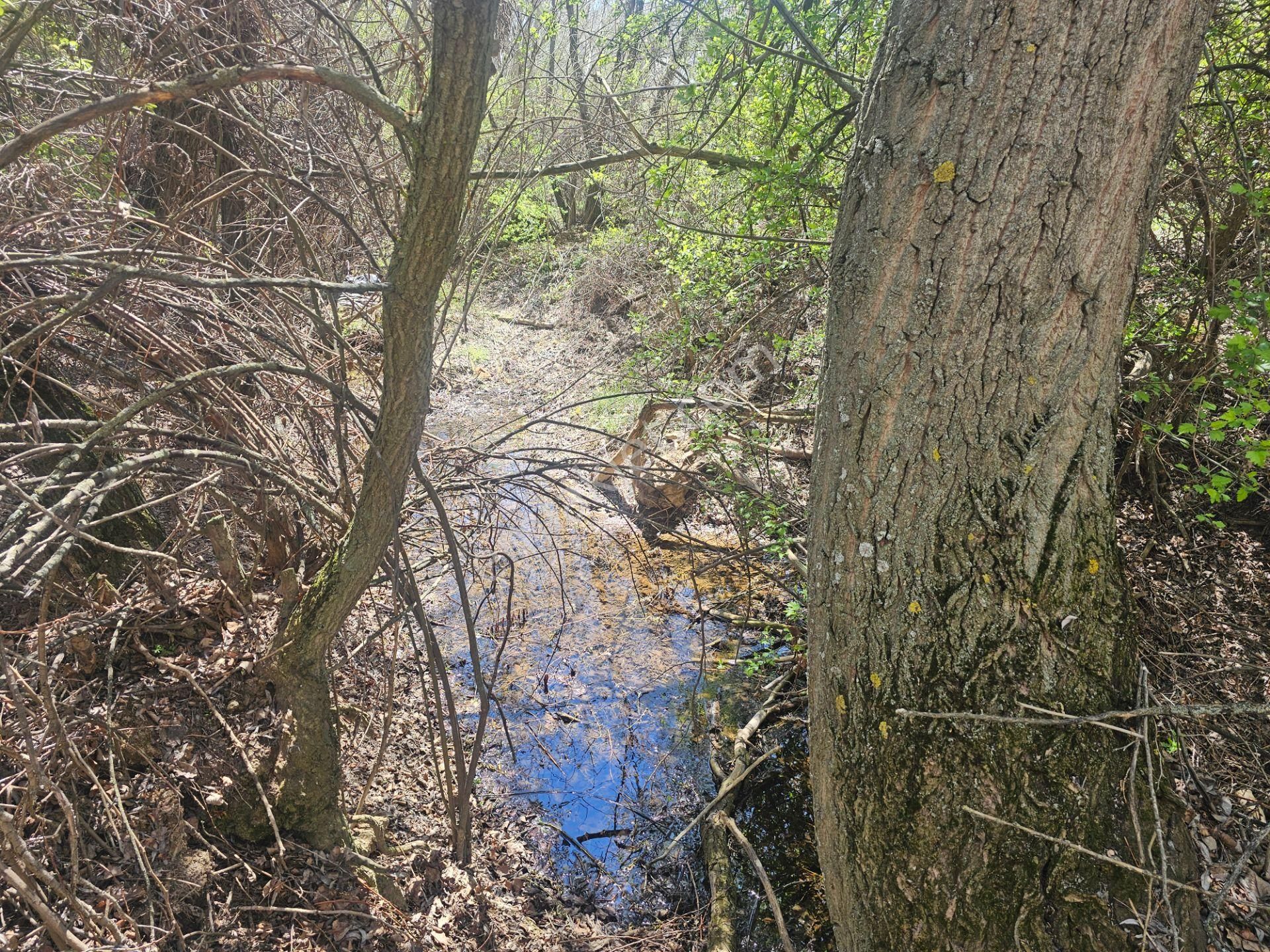 İşyapar Gayrimenkulden Konya Merkeze 20 Dakika Mesafede Bahçe - Görsel 9