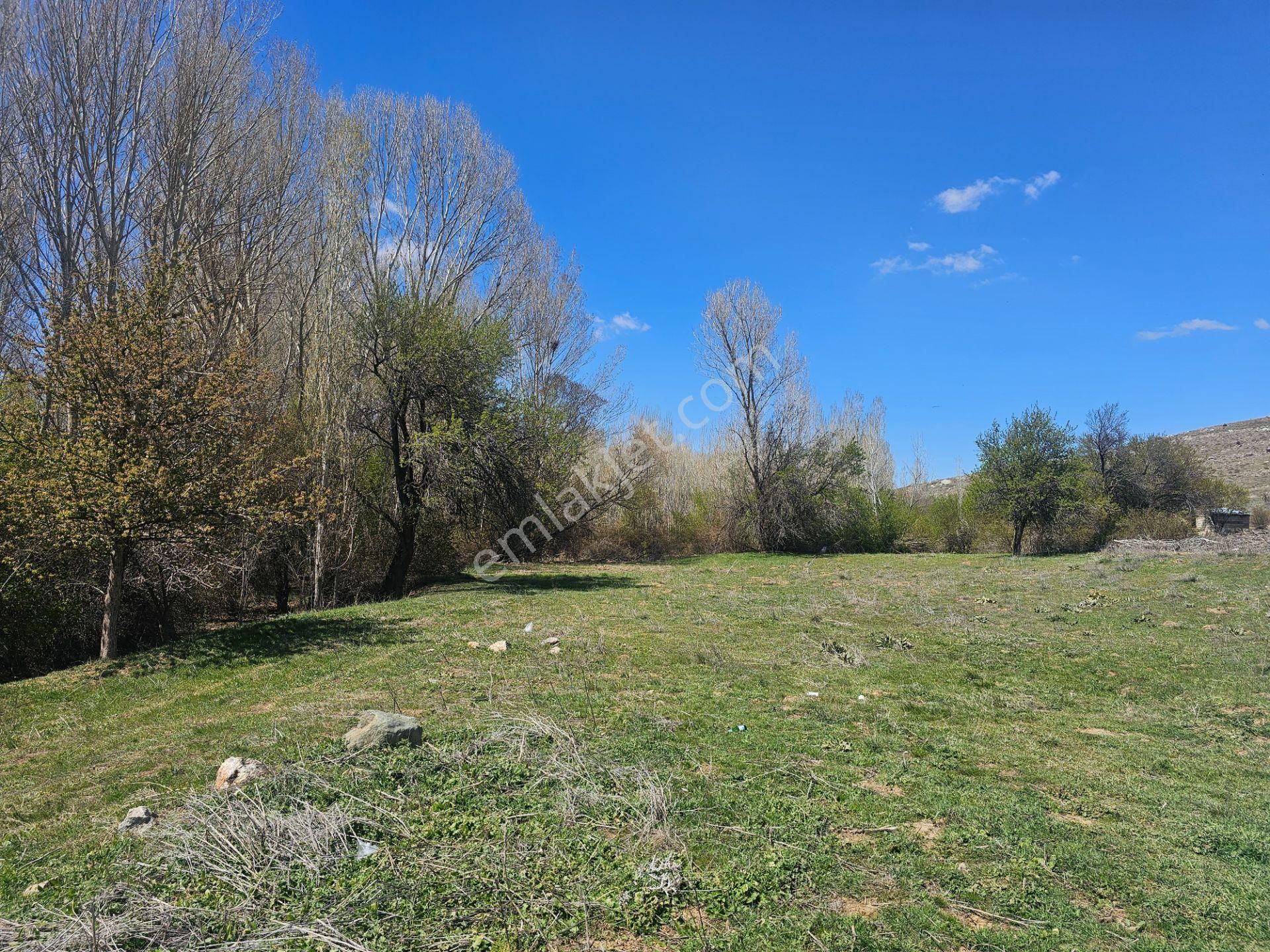 İşyapar Gayrimenkulden Konya Merkeze 20 Dakika Mesafede Bahçe - Görsel 13