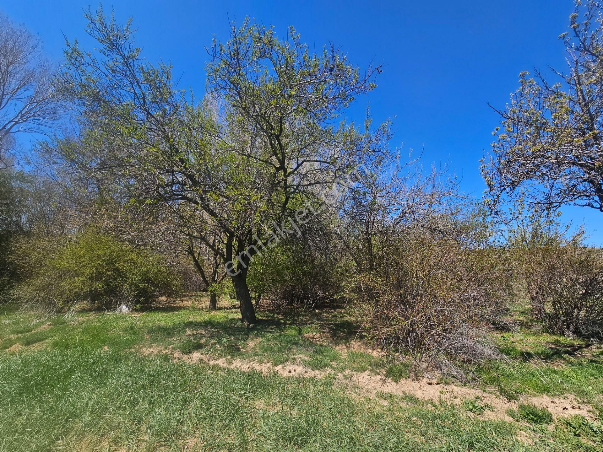 İşyapar Gayrimenkulden Konya Merkeze 20 Dakika Mesafede Bahçe - Görsel 16