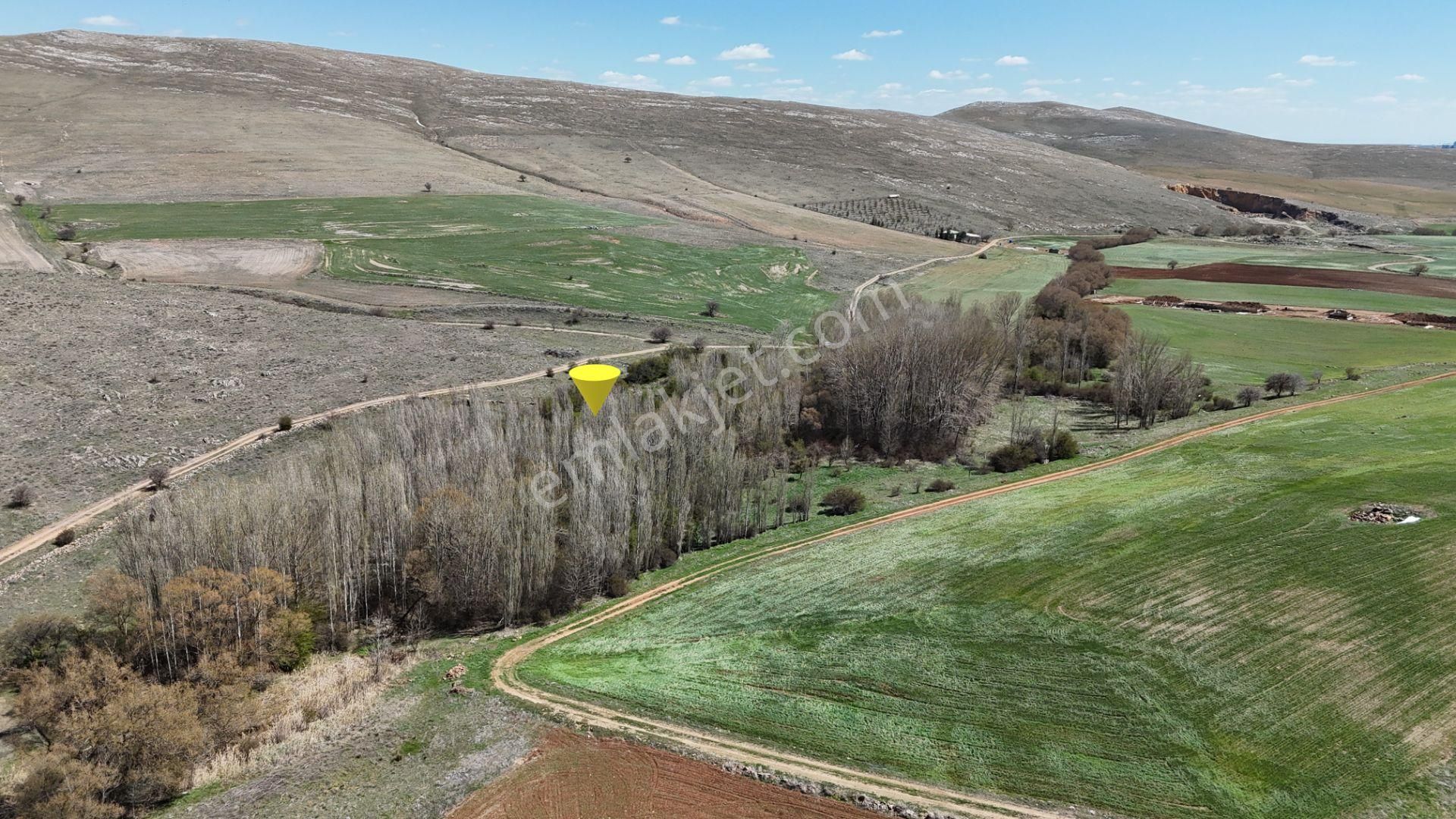 İşyapar Gayrimenkulden Konya Merkeze 20 Dakika Mesafede Bahçe - Görsel 26
